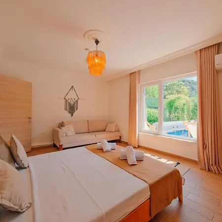 Villa Muhafazakar,havuzlu,muestakil Bahceli 12-16 Kisilik Sakarya (Marmara)