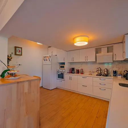 Muhafazakar,havuzlu,muestakil Bahceli 12-16 Kisilik Villa Sakarya (Marmara)