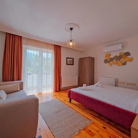 Muhafazakar,havuzlu,muestakil Bahceli 12-16 Kisilik * Sakarya (Marmara)